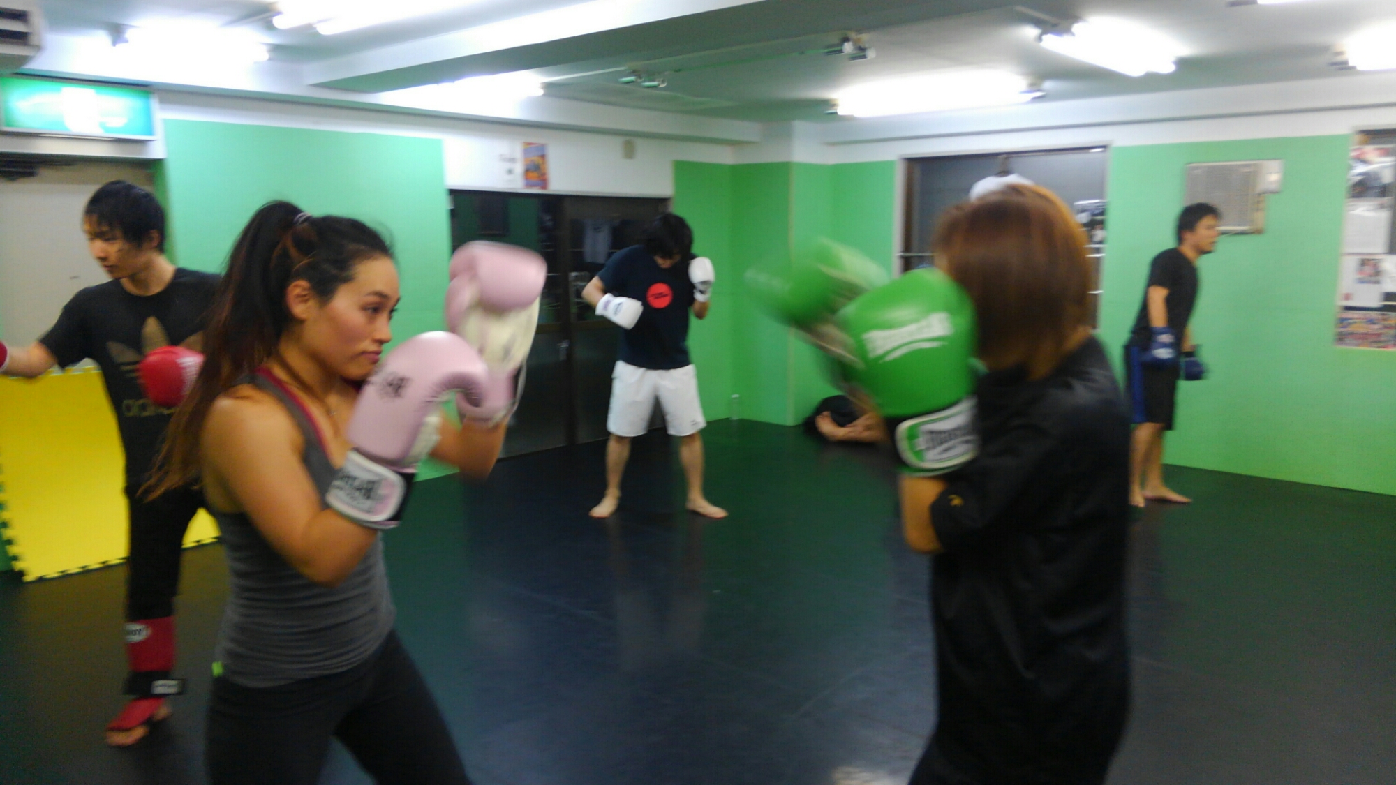 wp-1452014506343 image