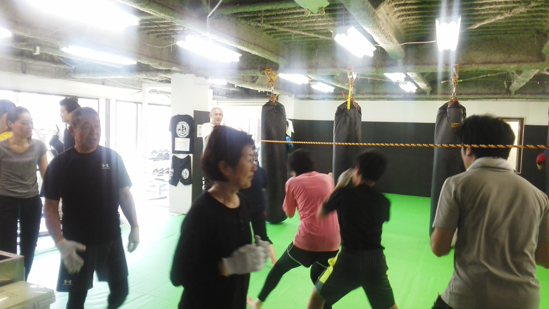 IMG_20160214_123114.jpg image