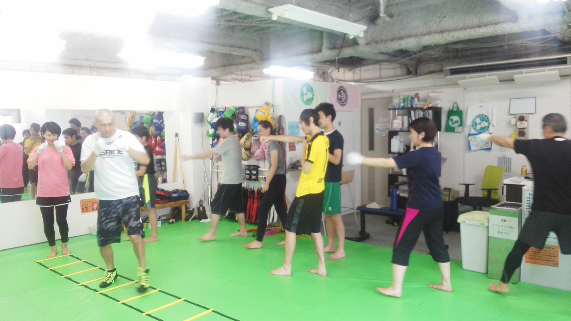 IMG_20160214_124830.jpg image