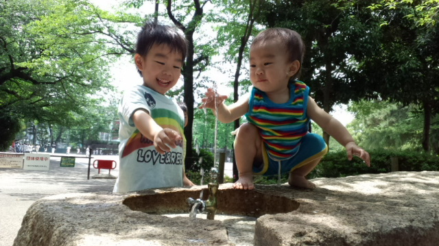 wp-1465773686234 image