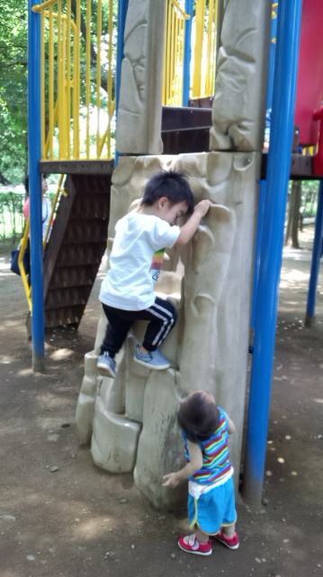 wp-1465773700479 image