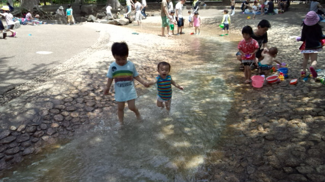 wp-1465773726007 image