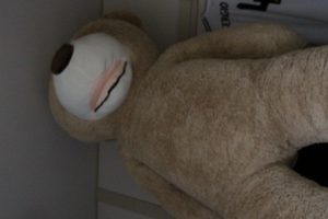IMG_0793