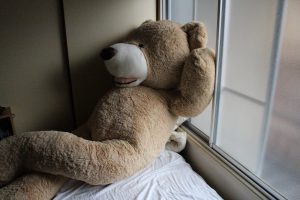 IMG_0811
