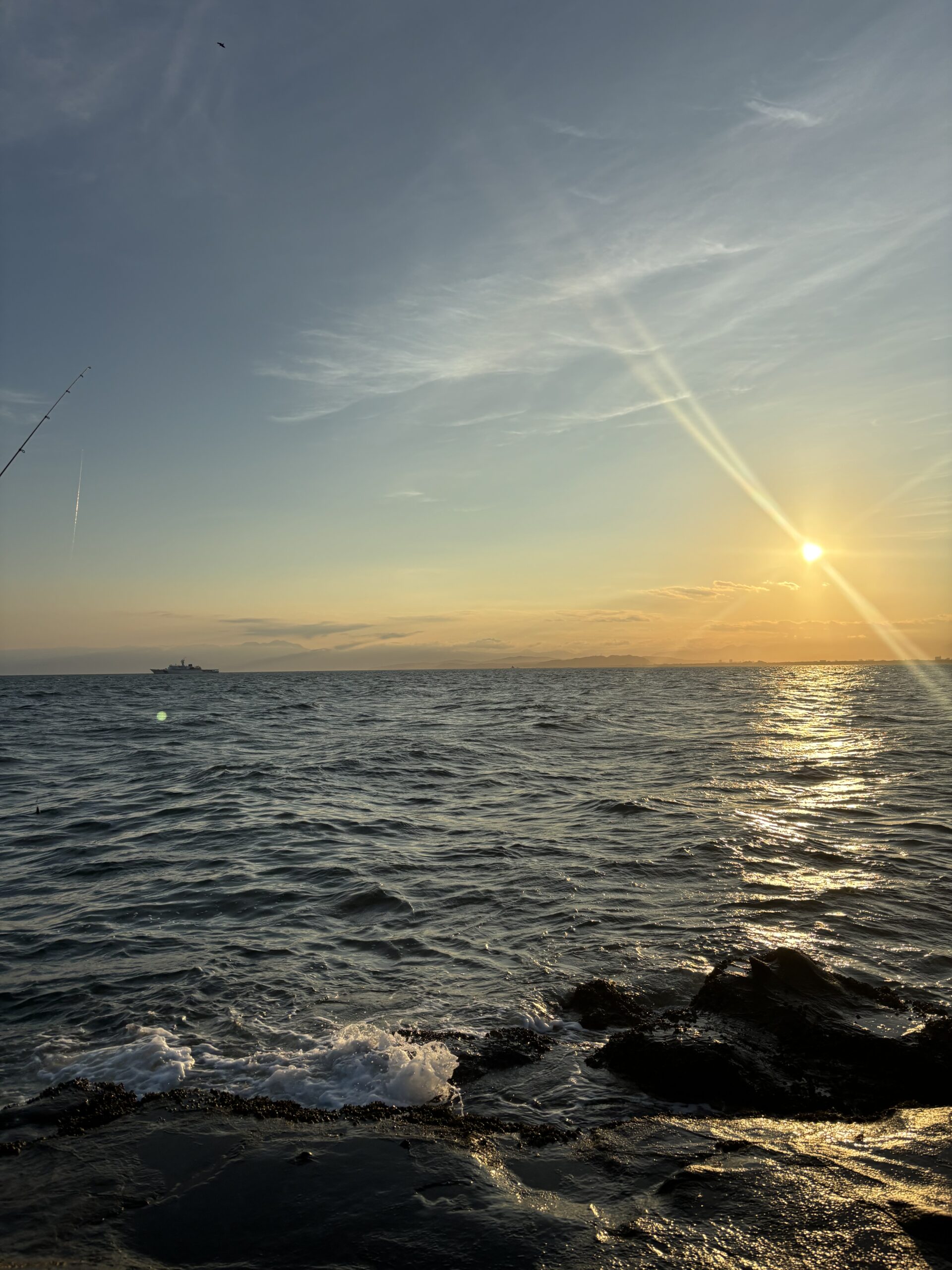 癒しが欲しい時は海