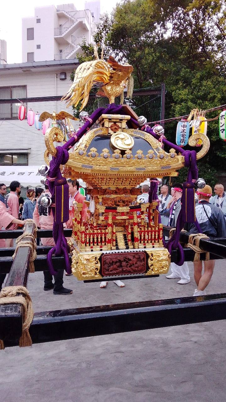 去年より激アツそうな今年の神輿後半戦がはじまりました！！！