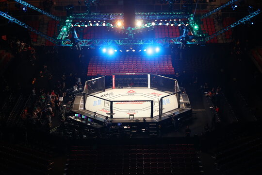 UFC331 感想