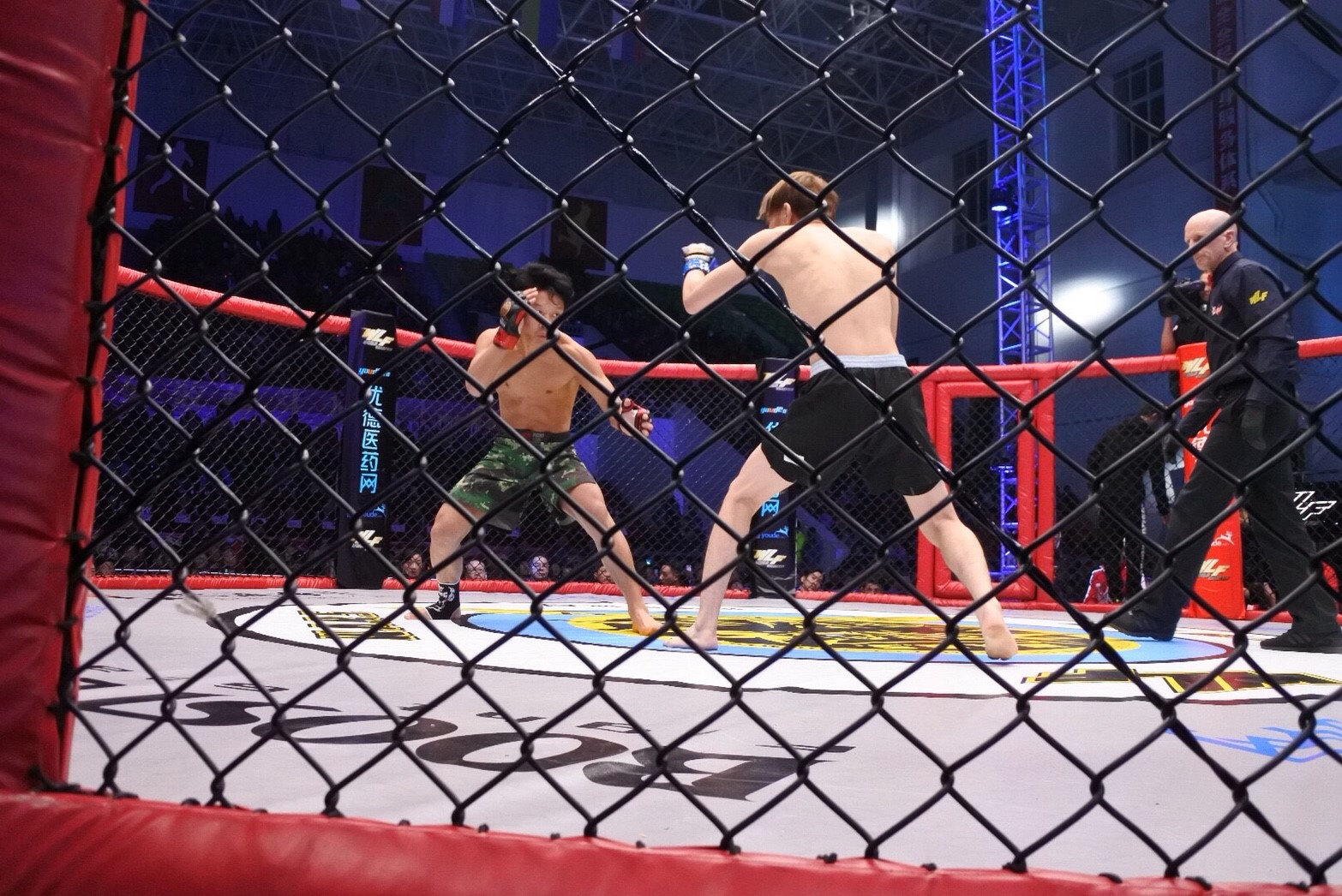 格闘技金網、ケージ