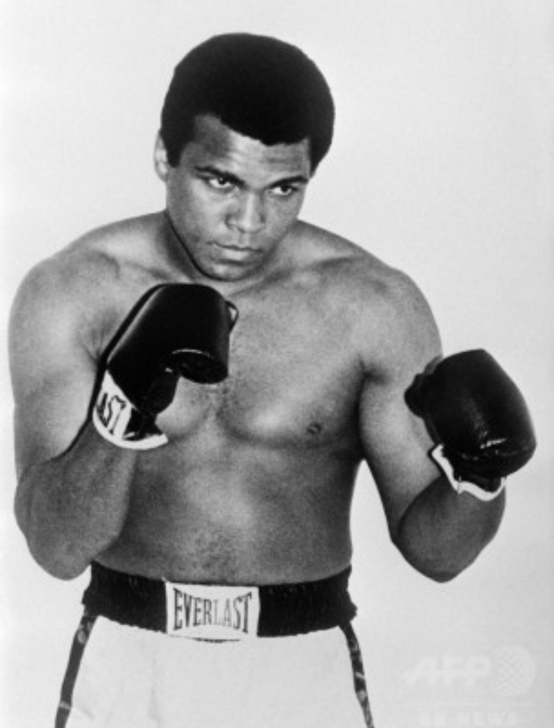 パウンドフォーパウンド 格闘技 初心者・ダイエット・フィットネスジム トイカツ道場