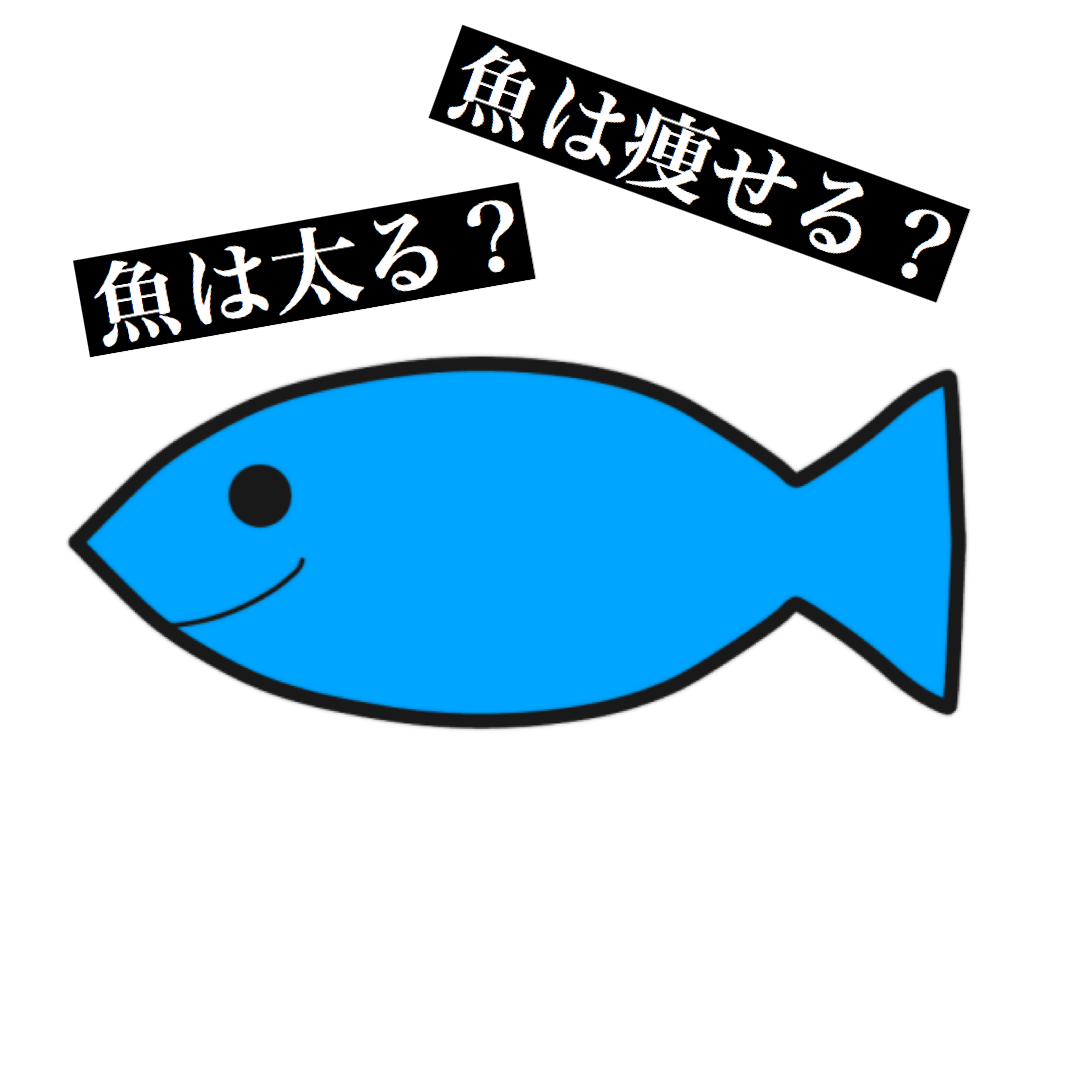 魚はやせる？太る？  格闘技 初心者・ダイエット・フィットネスジム 