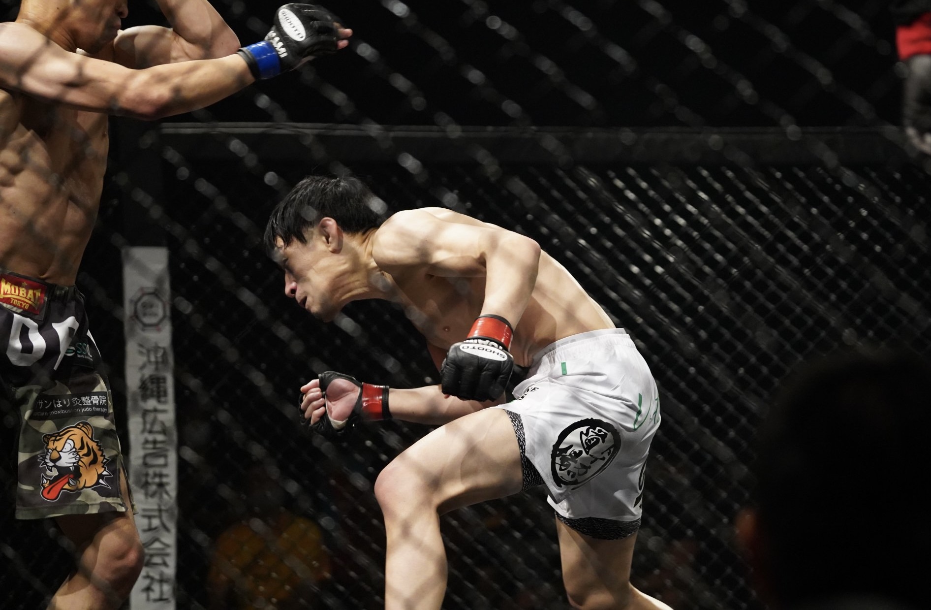 総合格闘技で一番大切な技術！？ | 格闘技 初心者・ダイエット・フィットネスジム トイカツ道場