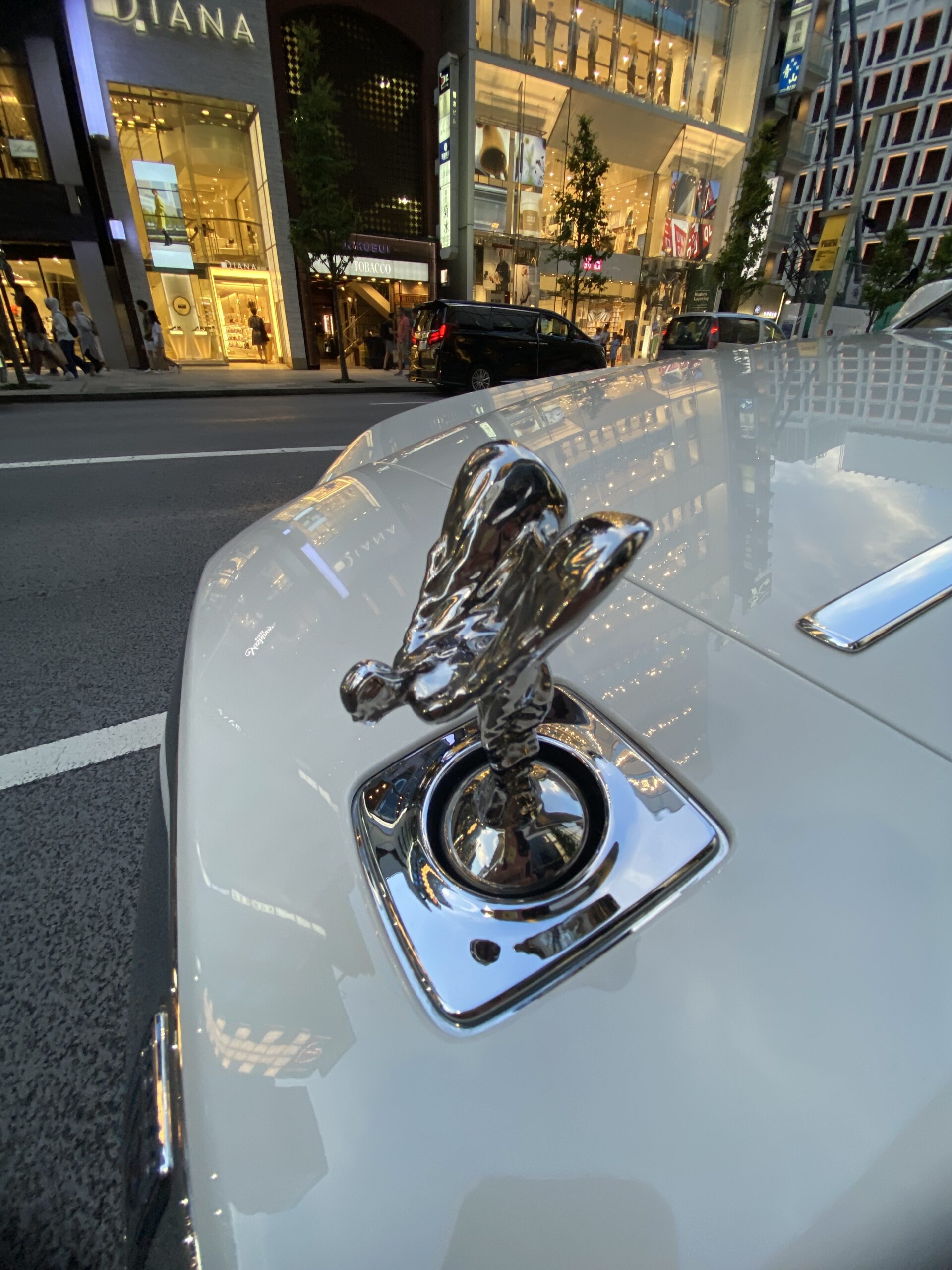 ロールスロイス 格闘技 初心者・ダイエット・フィットネスジム トイカツ道場