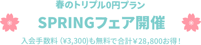 新年キャンペーン実施中